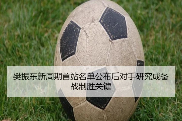 樊振东新周期首站名单公布后对手研究成备战制胜关键